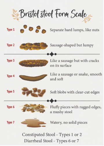 Gut Check: How’s your poop? 
