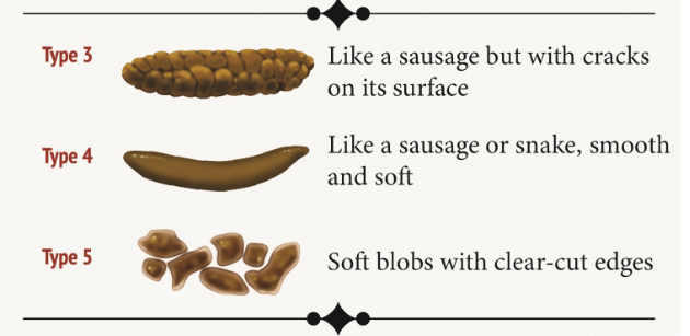 Gut Check: How’s your poop? 